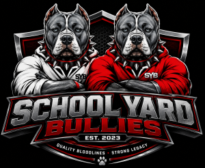 schoolyardbullies.co.za